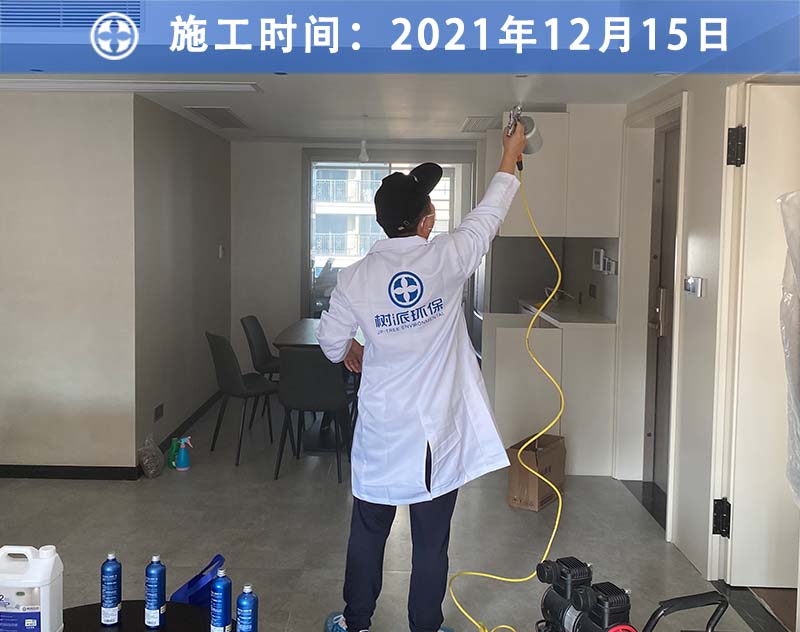 树派除甲醛客户案例